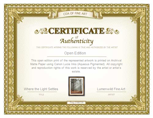 Certificate of Authenticity with decorative border and text