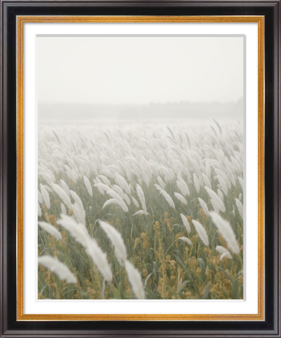Fine art print of a softly layered grassland landscape shaped by wind and mist, with restrained light emphasizing rhythm and gentle movement