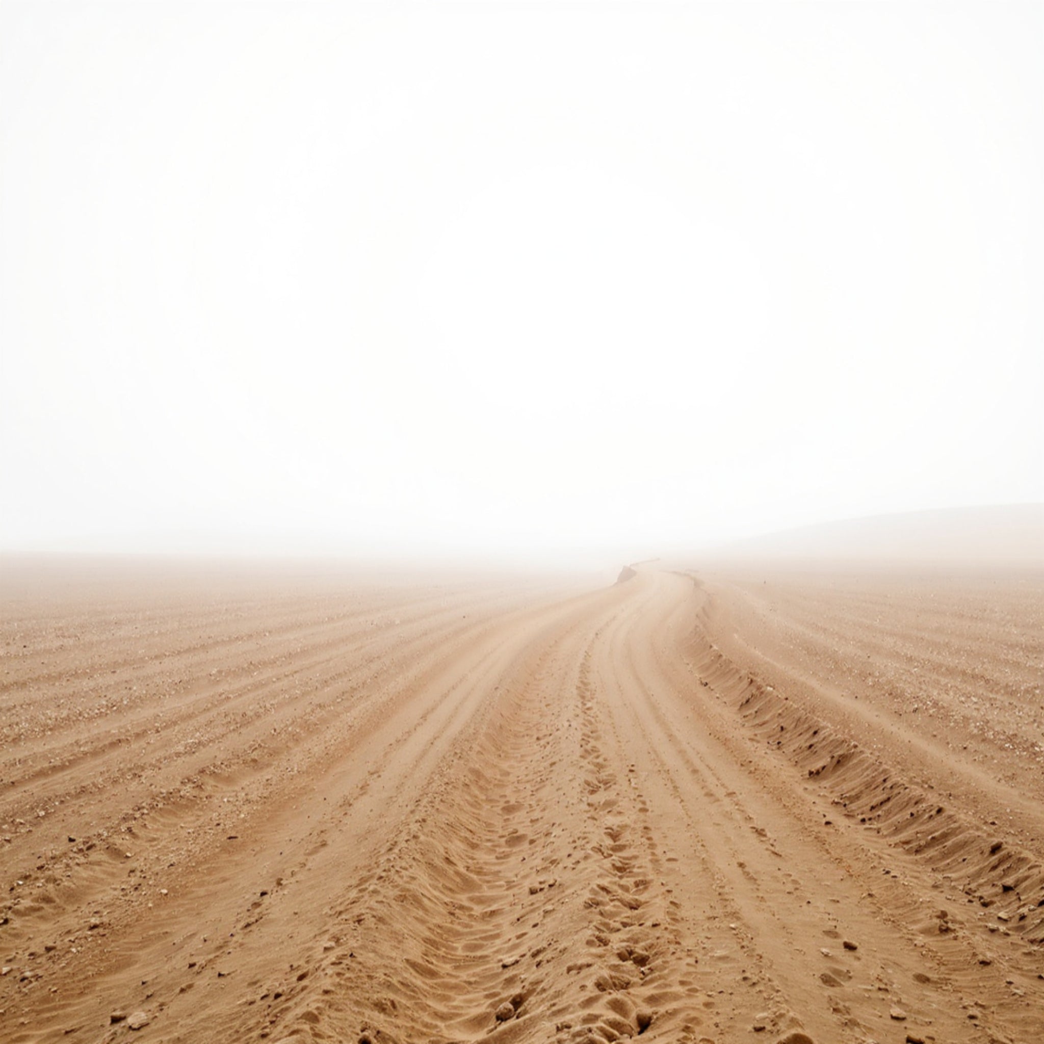 Desert landscape with sand dunes and a clear sky