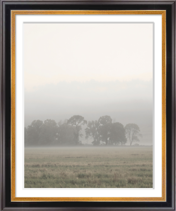 Where the Land Holds Its Breath, fine art print showing a misty field with soft fog, subdued light, and faint tree line